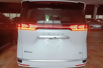 Denza D9