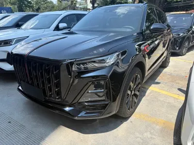 Hongqi Hongqi HS5
