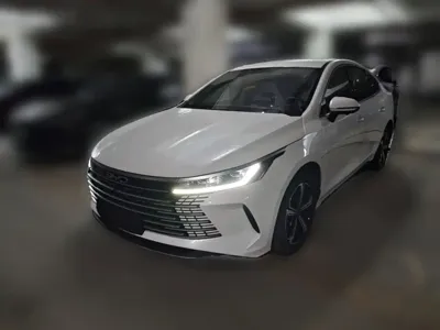 BYD Destroyer 05