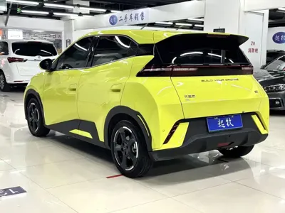 BYD Seagull