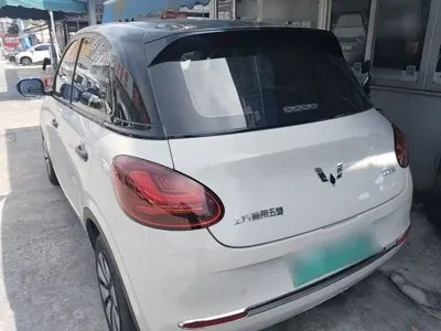 Wuling Bingo