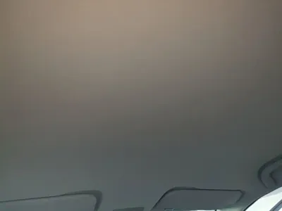 NETA Neta V