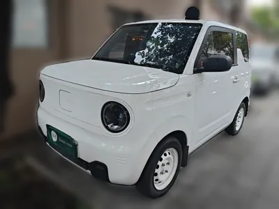 Geely Galaxy Panda