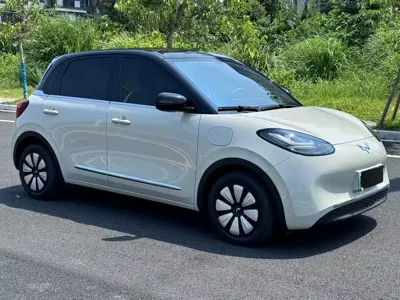Wuling Bingo