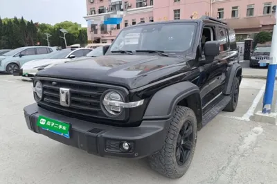 Tank 300