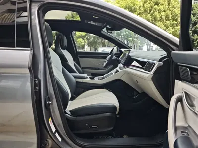 BYD PLUS New Energy