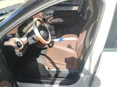 Wuling Bingo