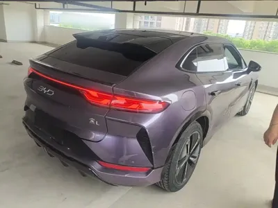BYD L EV