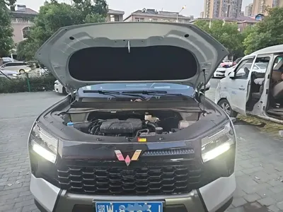 Wuling Xingguang 560