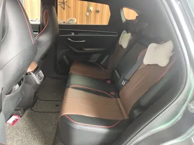 BYD PLUS
