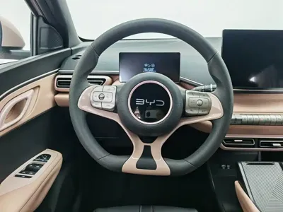 BYD Seagull