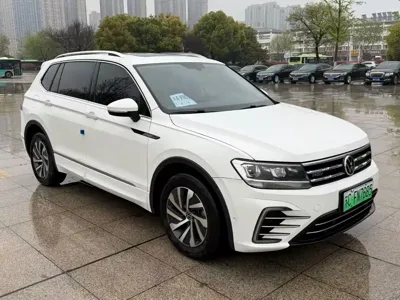 Volkswagen Tiguan L New Energy