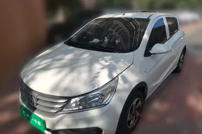 Baojun 310