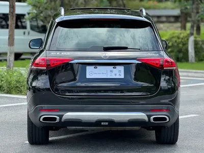Mercedes-Benz 奔驰GLE(进口)
