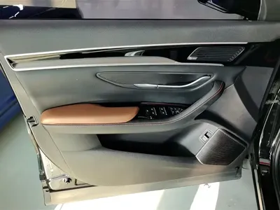 BYD PLUS