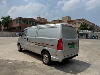 Wuling Wuling EV50
