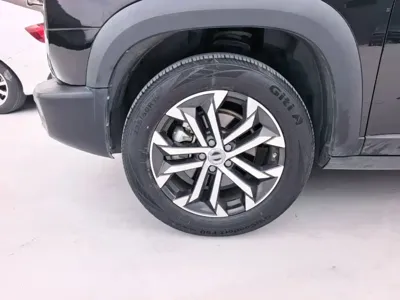 Haval Big Dog