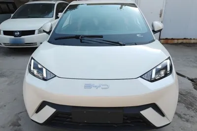 BYD Seagull