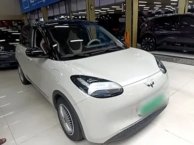 Wuling Bingo