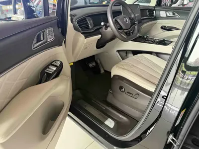 Denza Denza D9