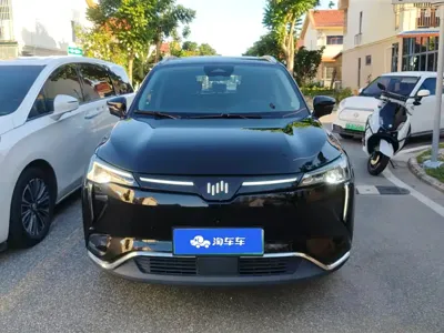 WM Motor W6