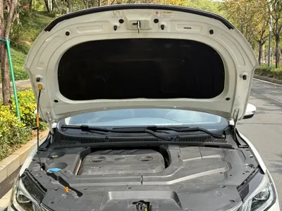 Geely Binrui