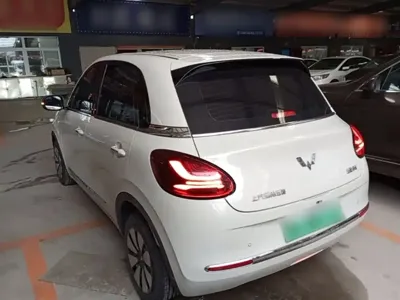 Wuling Bingo