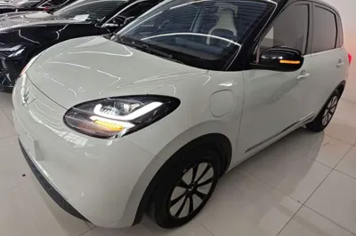 Wuling Bingo