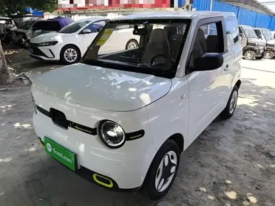 Galaxy Panda