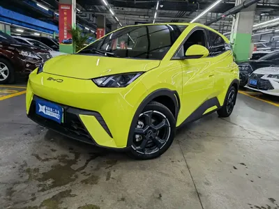 BYD Seagull