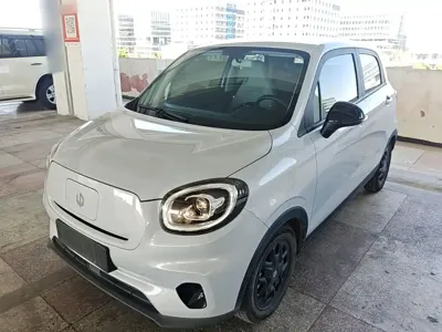Leapmotor Leapmotor T03