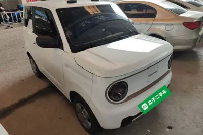 Geely Galaxy Panda