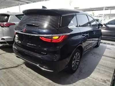 BYD MAX