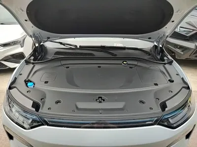 Leapmotor Leapmotor C11