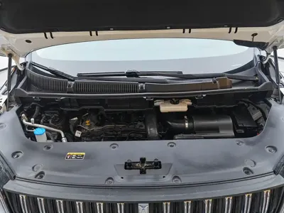 Hongqi Hongqi HQ9