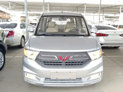 Wuling Hongguang V
