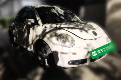 Volkswagen Beetle