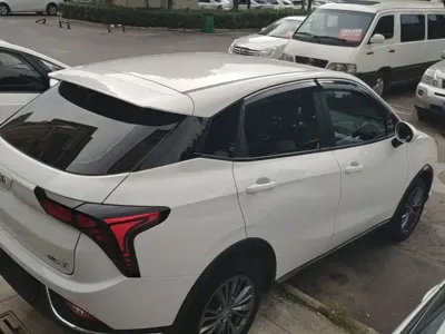 NETA Neta V