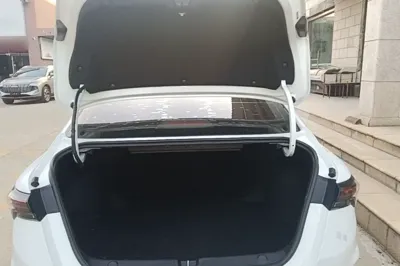 Geely Auto Binray