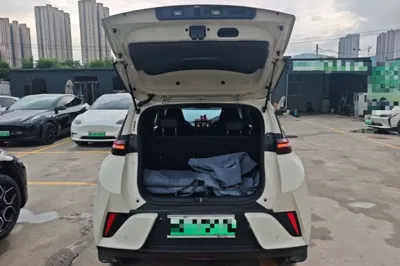 BYD Seagull