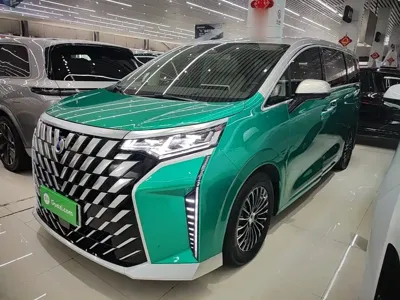 Denza Denza D9