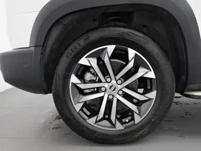 Haval Big Dog