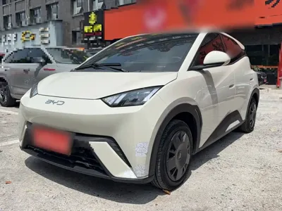 BYD Seagull