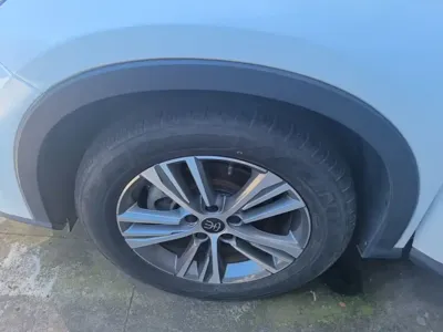 BYD Pro