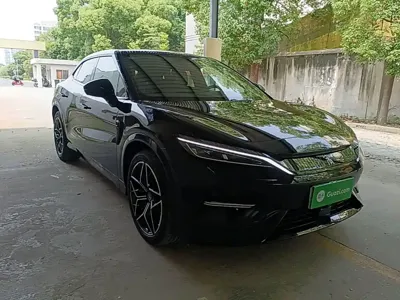 BYD L EV