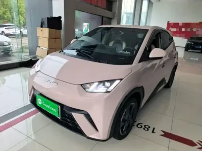 BYD Seagull