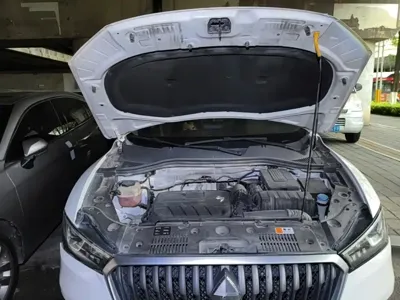 Borgward BX5