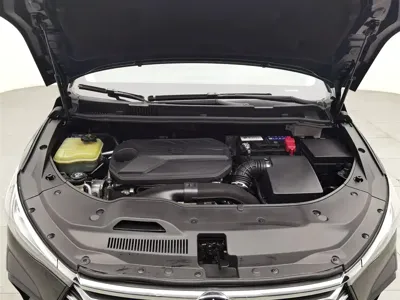 BYD MAX