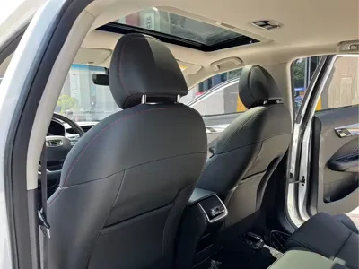 Geely Binrui