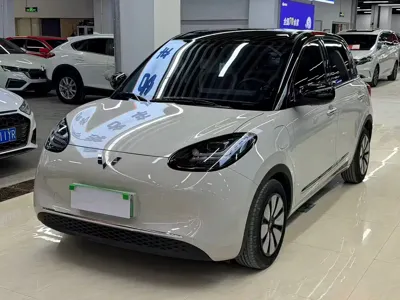 Wuling Bingo